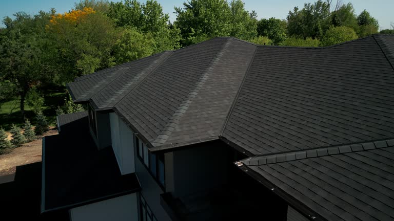 Best Roof Moss and Algae Removal  in Timberville, VA