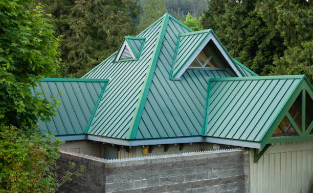 Best Solar Panel Roofing Installation  in Timberville, VA