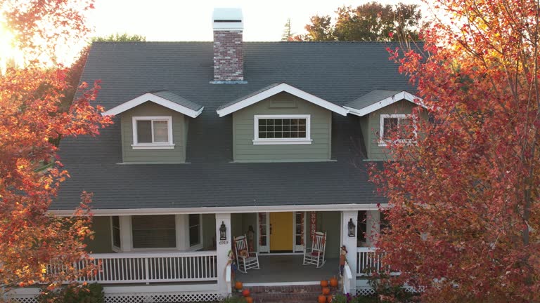 Best Sheet Metal Roofing  in Timberville, VA