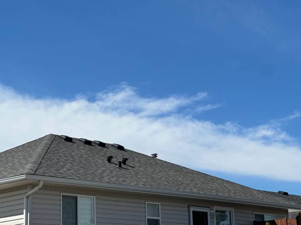Best Chimney Flashing Repair  in Timberville, VA